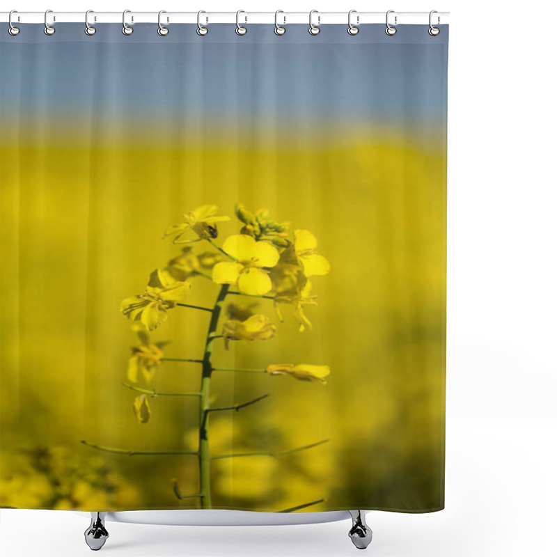 Personality  Close-up Of Vibrant Yellow Canola Flowers In Full Bloom, With A Blurred Background Of An Expansive Canola Field Under A Soft Blue Sky. Shower Curtains