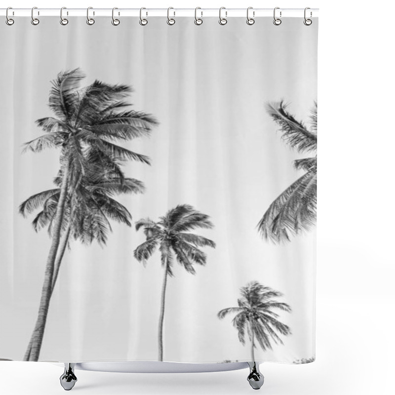 Personality  Lonely Tropical Exotic Coconut Palm Trees Against Blue Sky. Neutral Black And White Background. Summer And Travel Concept On Phuket, Thailand. Shower Curtains