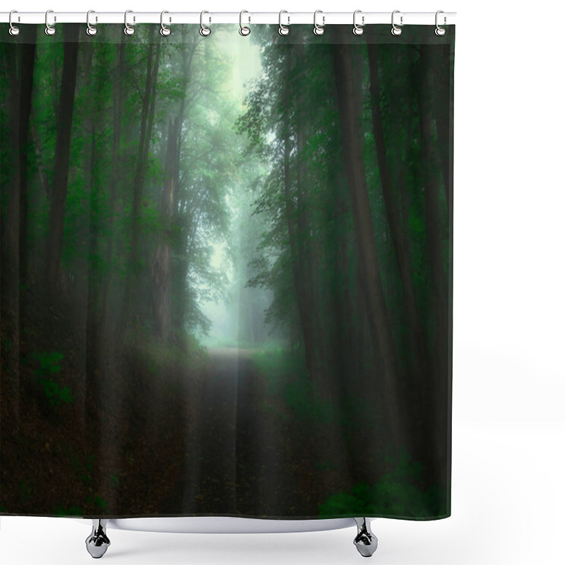 Personality  Green Foggy Forest With Sun Rays, Green Leafs,sunlight,fog. Tree Trunks,tree Branches, Gree Leafs,fog, Forest Road. Mystique  Relaxing  Nature. Czech Republic.  Shower Curtains