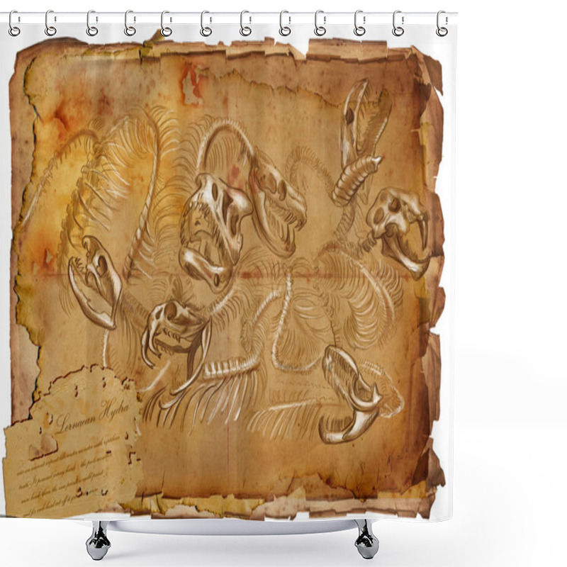 Personality  Legendary Animals And Monsters: HYDRA Shower Curtains