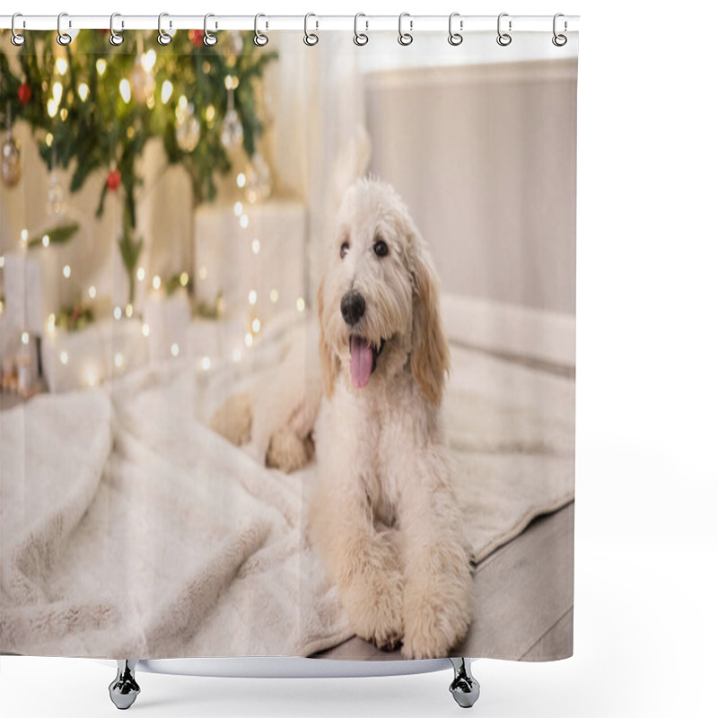 Personality  Smiling Dog Laying Down In Front Of Christmas Tree Shower Curtains