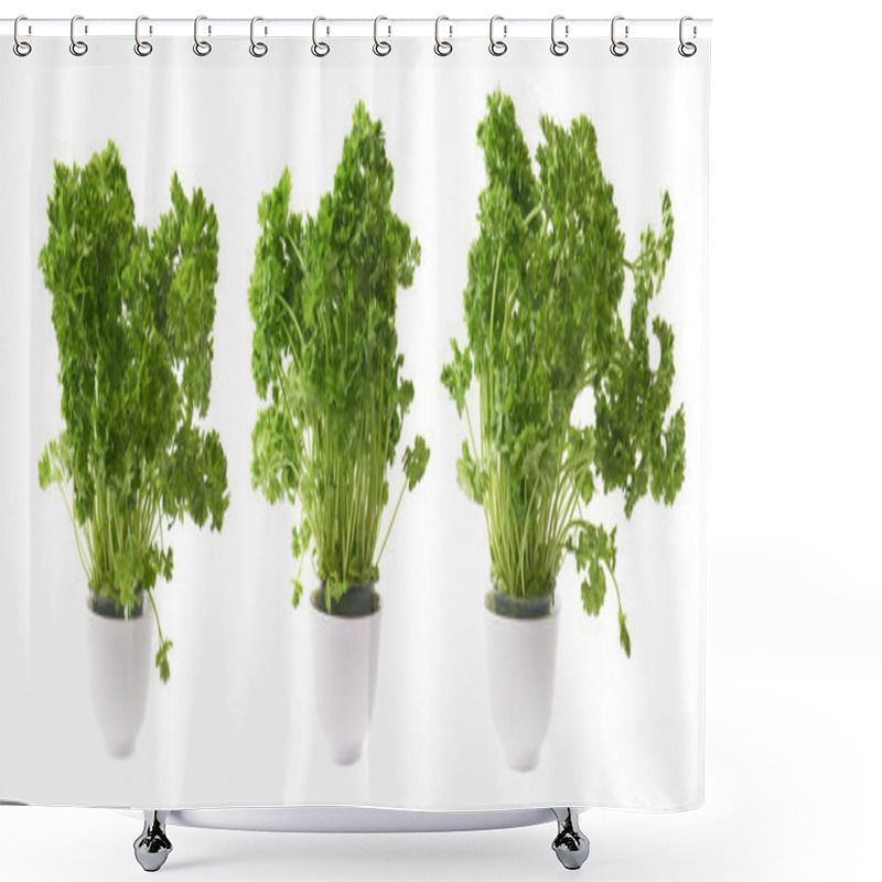 Personality  Petroselinum Crispum Parsley Plants Shower Curtains