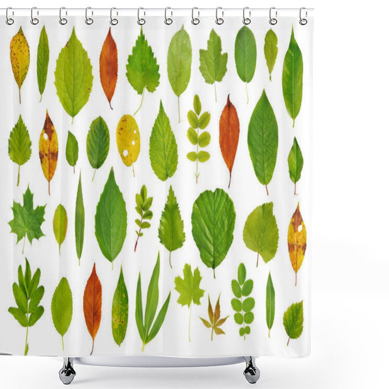 Personality  Tree Leaves Isolated On White Background Shower Curtains