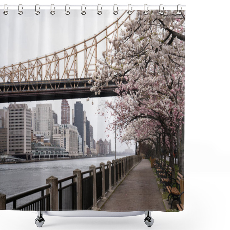 Personality  New York City, New York / USA - April 17 2020: Cherry Blossom And Queensborough Bridge In Roosevelt Island In New York City At Spring Time Shower Curtains