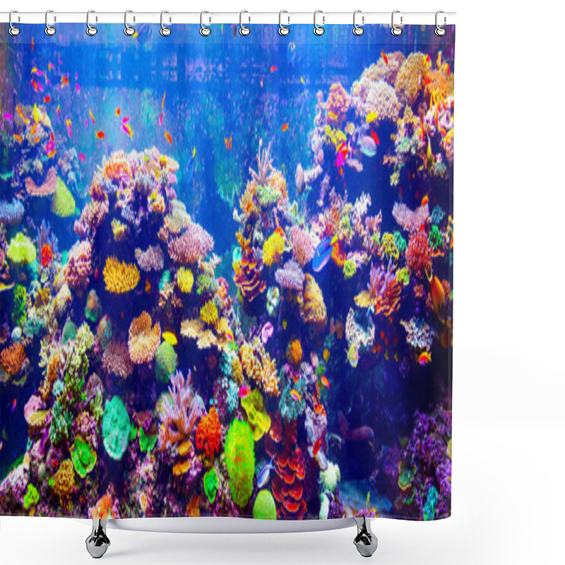 Personality  Coral Reef And Tropical Fish Shower Curtains