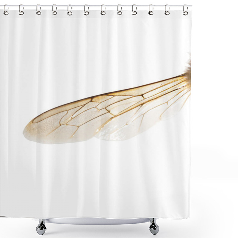 Personality  Bee Wing Shower Curtains