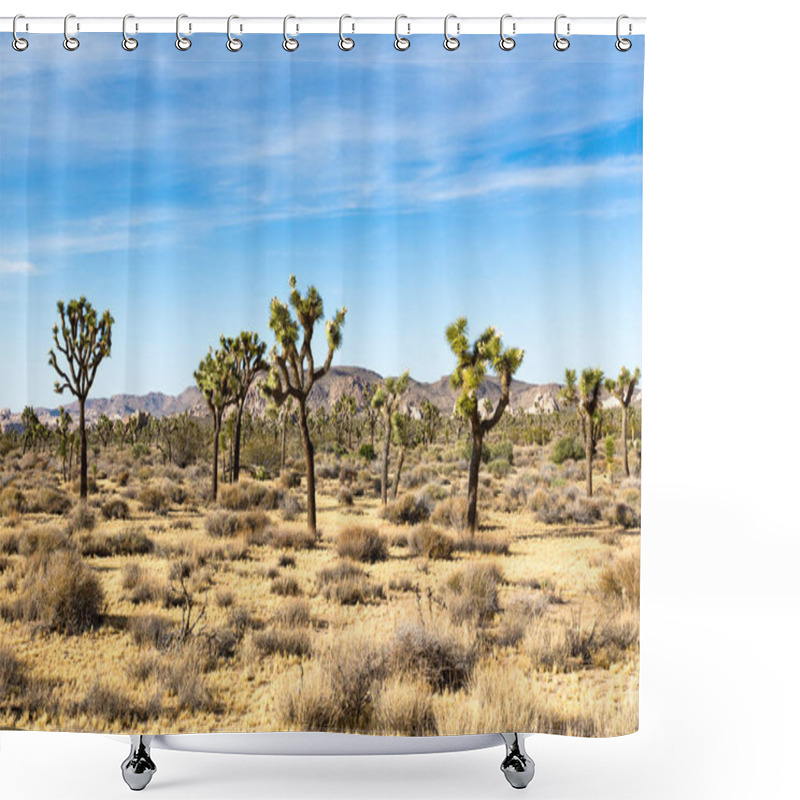 Personality  Yucca Palms And Rock Formation In Joshua Tree National Park, California, USA Shower Curtains