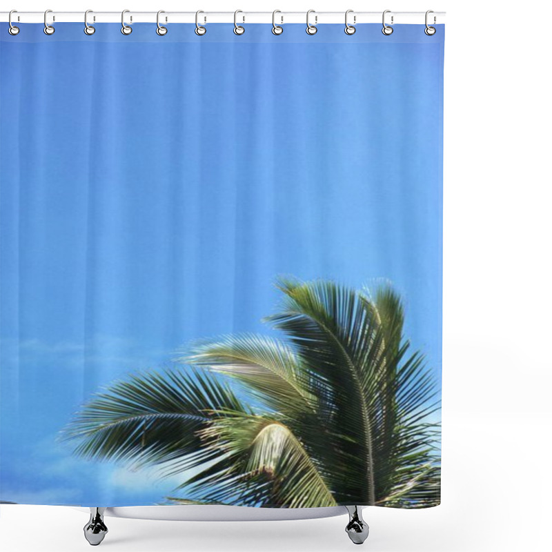 Personality  Tranquil Coastal Landscape With Azure Sky And Majestic Palm Trees Shower Curtains