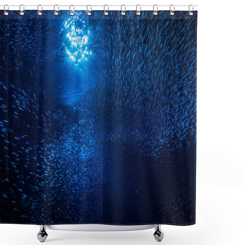 Personality  Shoal Of Small Tiny Fish In Underwater Cave Against Light Rays From Entrance Shower Curtains