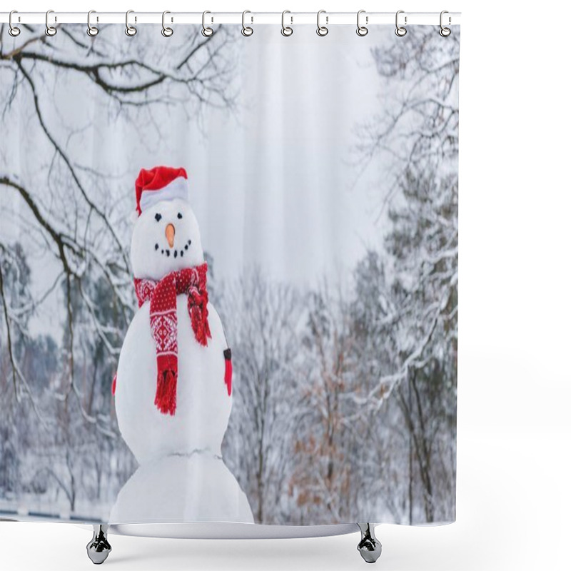 Personality  Funny Snowman In Scarf, Mittens And Santa Hat In Winter Park Shower Curtains