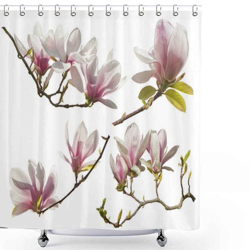 Personality  Magnolia Flowers On White Background Shower Curtains