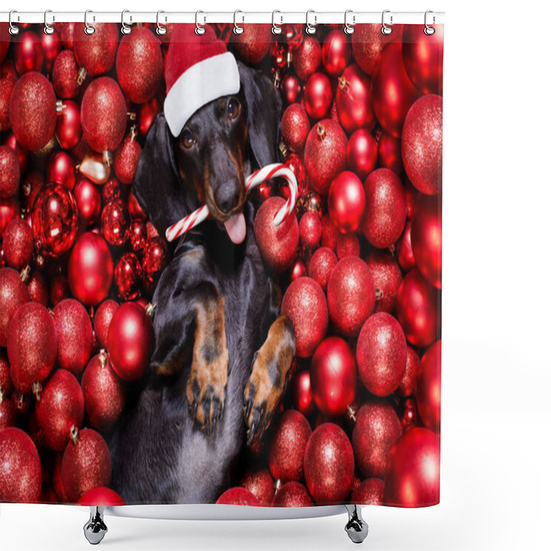 Personality  Christmas Santa Claus Dog And Xmas Balls Or Baubles As Backgroun Shower Curtains