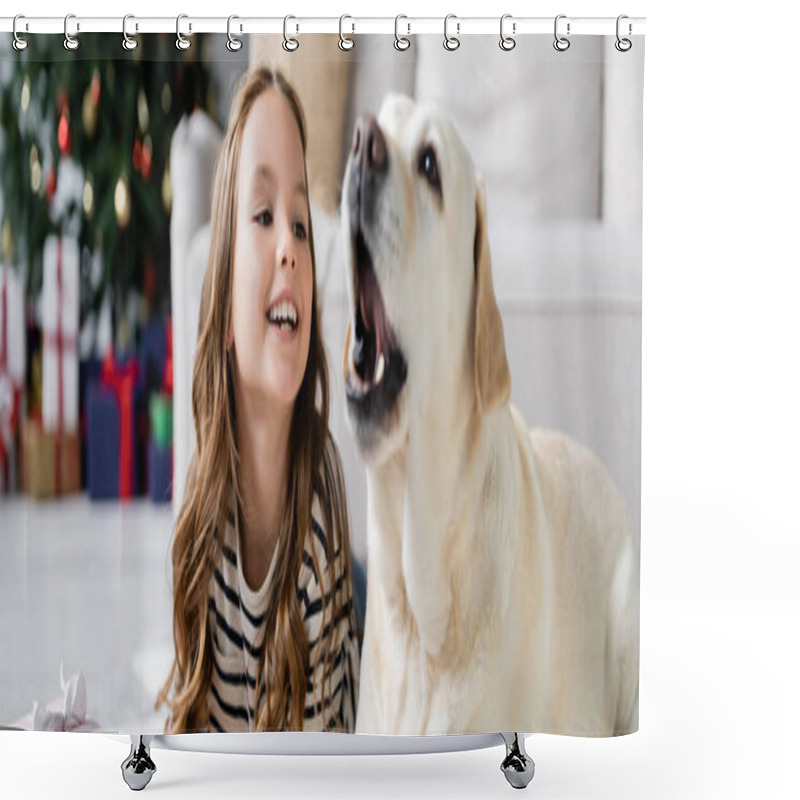 Personality  Positive Girl Looking At Blurred Labrador During Christmas In Living Room, Banner  Shower Curtains