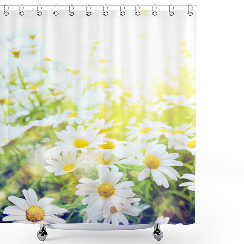 Personality  Art Bright Summer Flowers Natural Background Shower Curtains