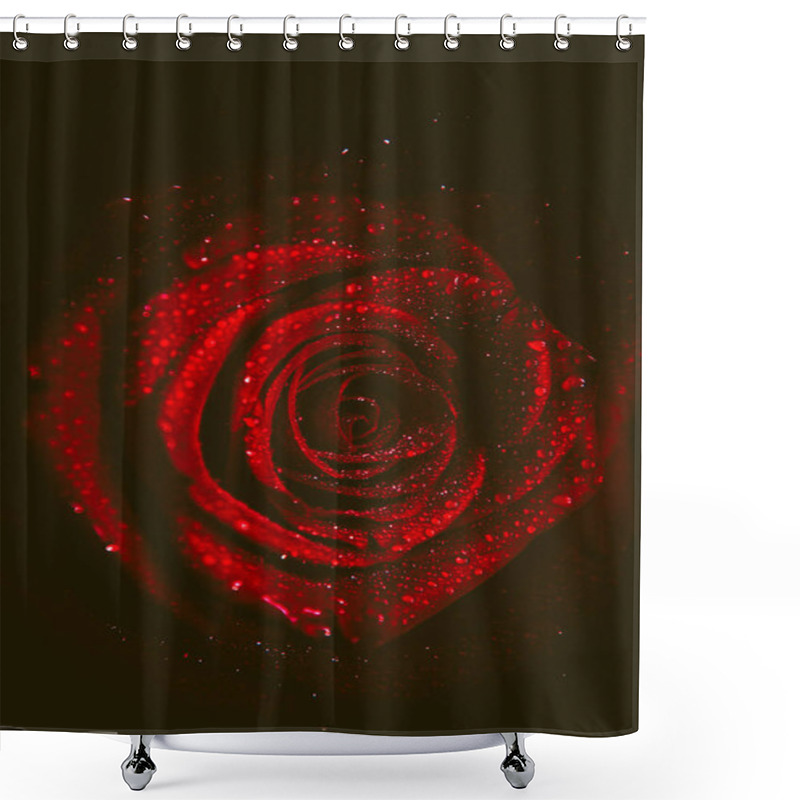 Personality  Top View And Close-up, Blooming Beautiful Rose Flower. The Concept Of Valentine's Day. Art Of Rose Shower Curtains