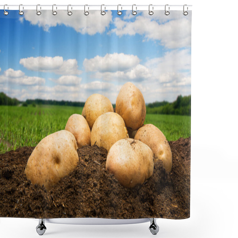 Personality  Potatoes On The Ground Under Sky Shower Curtains