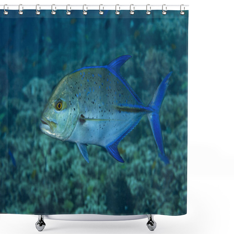 Personality  Bluefin Trevally, Caranx Melampygus  Shower Curtains