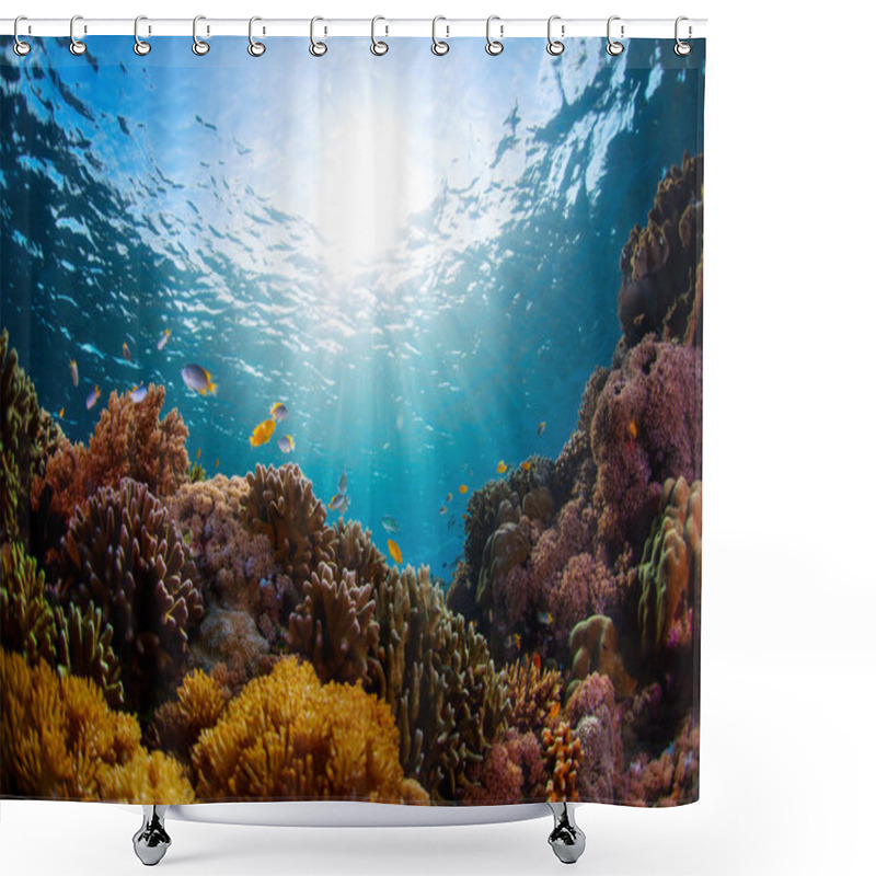 Personality  Indonesia Shower Curtains