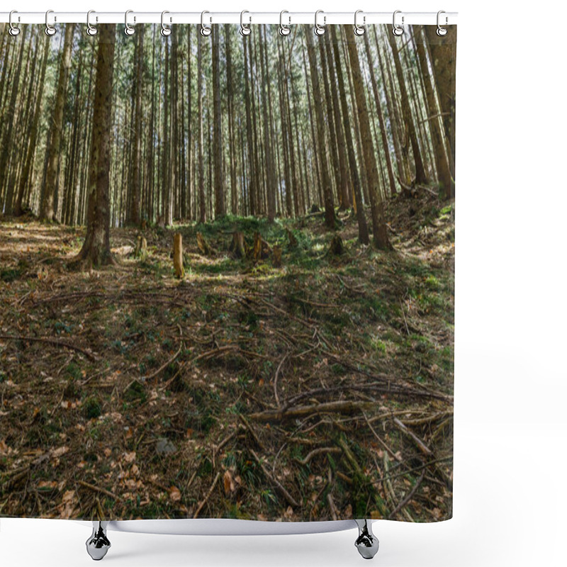 Personality  Wooden Branches On Meadow In Spruce Forest  Shower Curtains