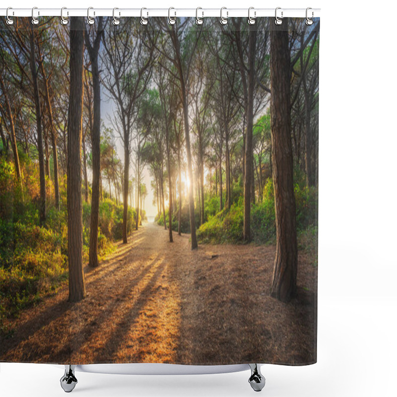 Personality  Path In Pinewood Forest And Sea At Sunset, Tombolo Di Marina Di Cecina, Maremma, Tuscany, Italy Europe. Shower Curtains