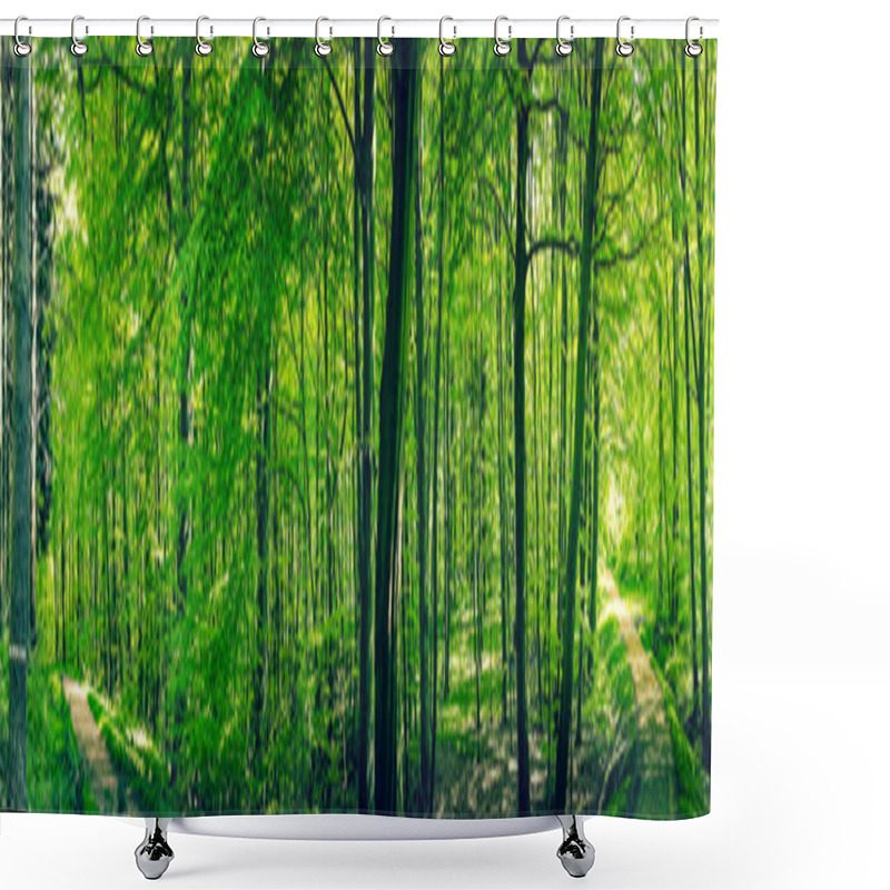 Personality  Roads In A Green Forest Panorama Shower Curtains