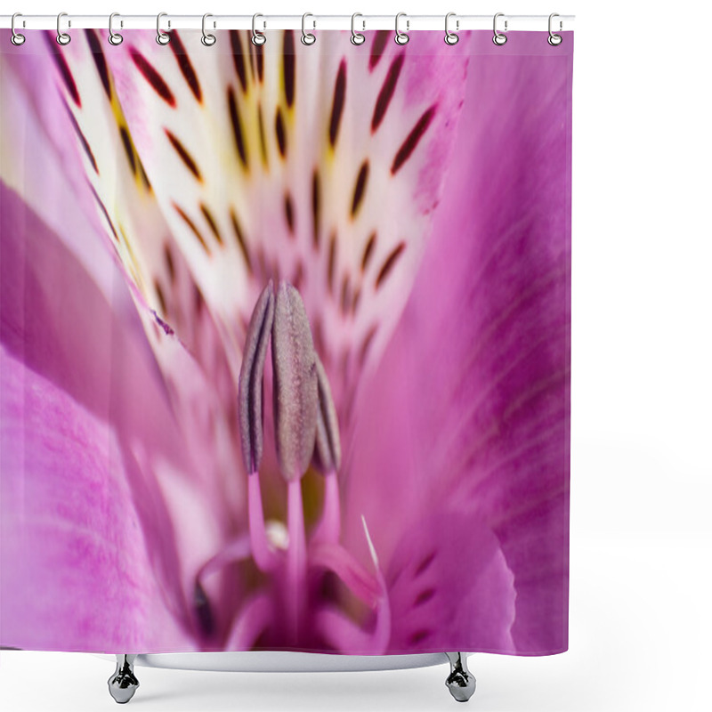 Personality  The Macro Exotic Flowers Shower Curtains