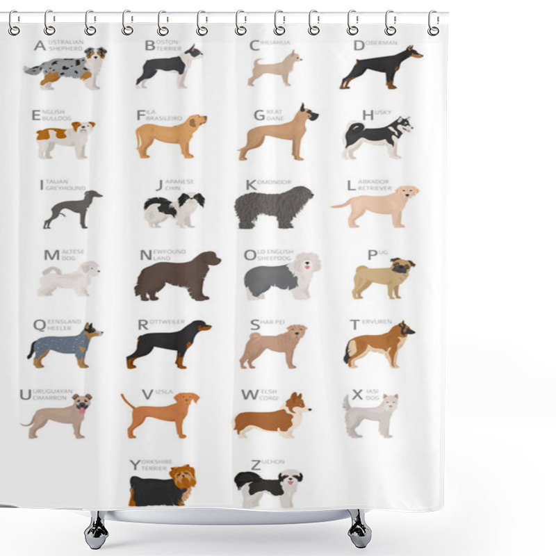 Personality  Doggish Alphabet For Dog Lovers. Letters Of The Alphabet With The Names Of The Dog Breeds. Vector Illustration Shower Curtains