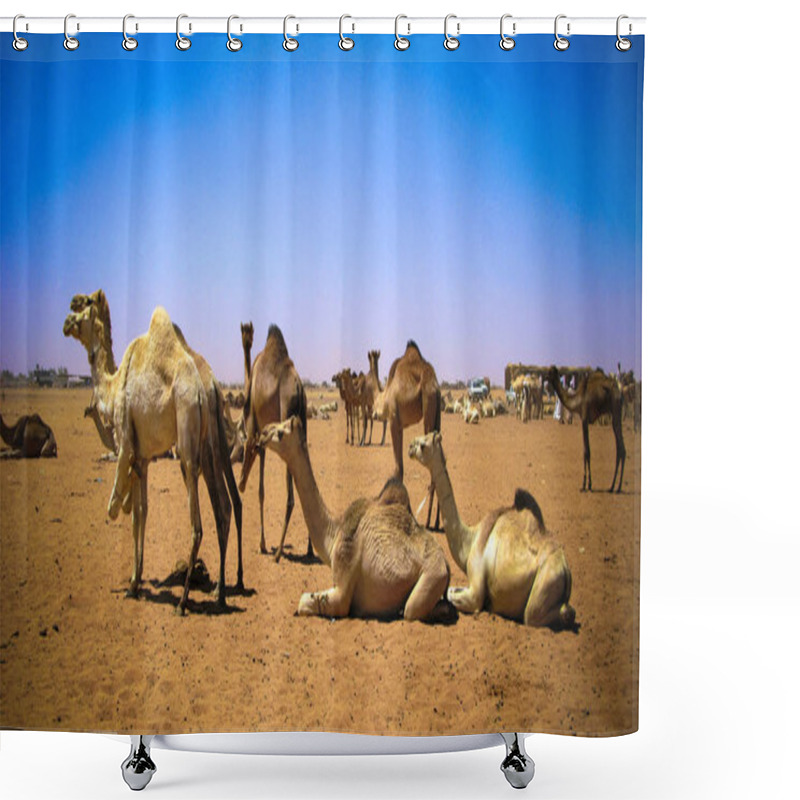 Personality  Camels In The Camel Market In Omdurman, Sudan Shower Curtains