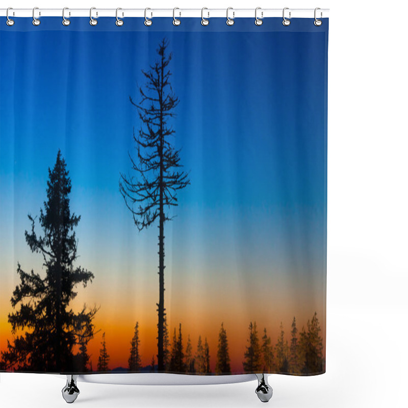 Personality  Pine Trees Shower Curtains