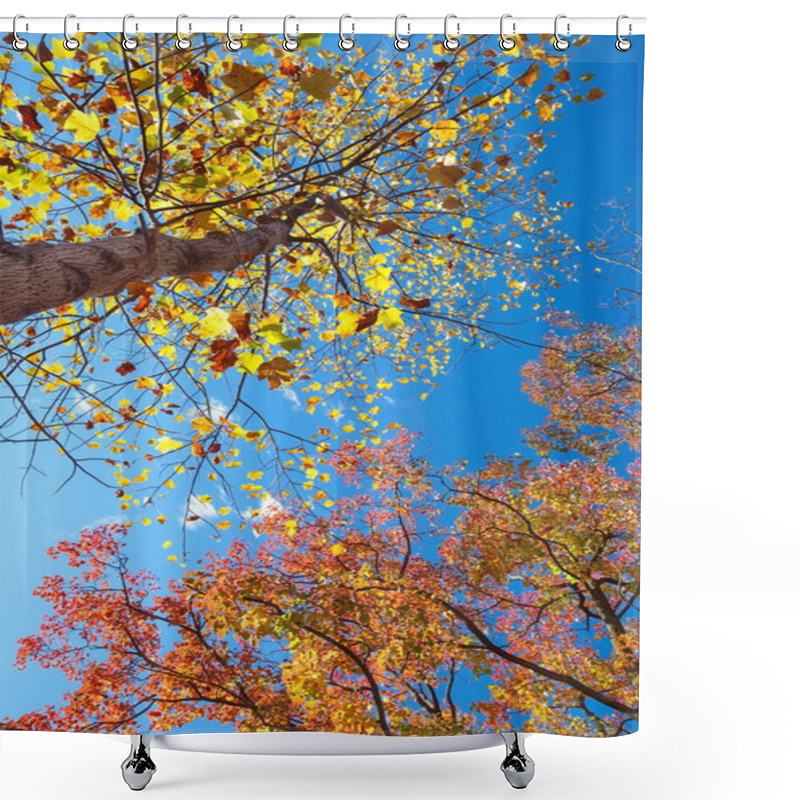 Personality  Big Tree With Yellow And Red Leaves Shower Curtains