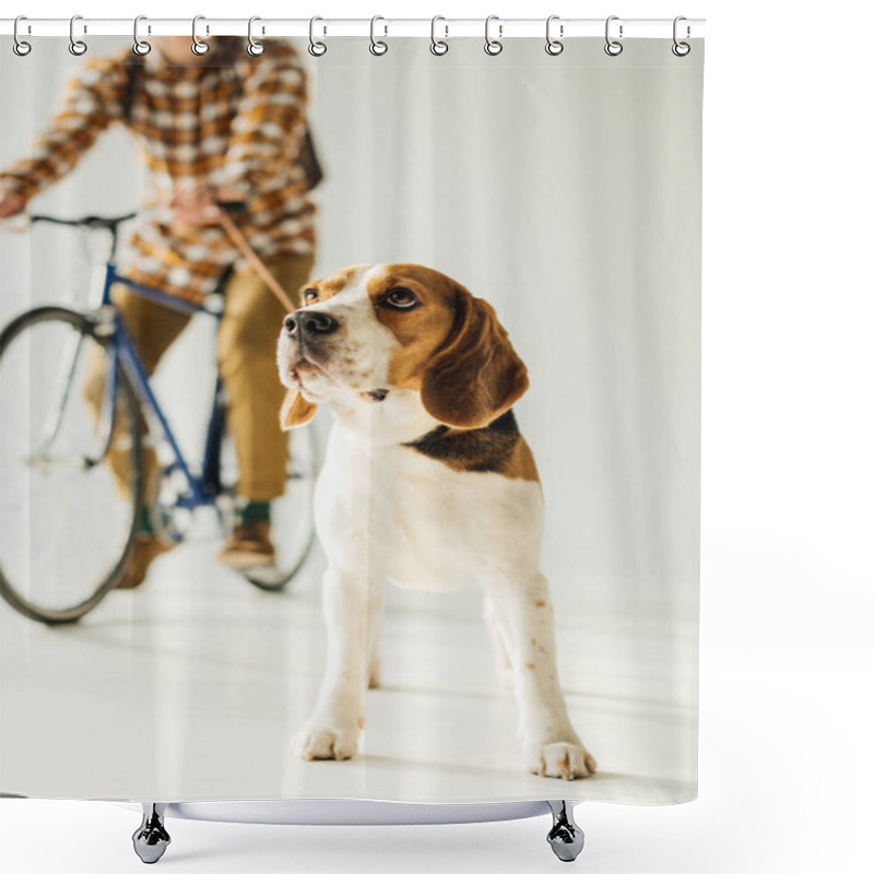 Personality  Cropped Image Of Bicycler With Cute Beagle On White Shower Curtains