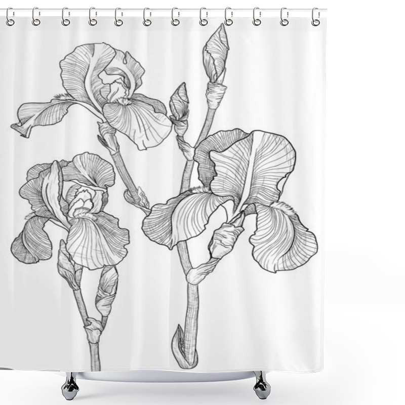 Personality  Sketch Of Bouquet Of Blooming Irises Shower Curtains