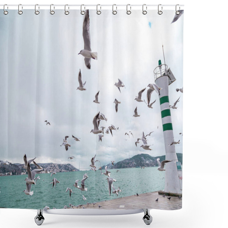 Personality  Sitting And Flying Group Or Flock Of Seagulls On A Pier Near The Water On A Sunny Day. Seagulls Preen Their Feathers Group. Light Waves On The Water. Stanbul Tarabya Shower Curtains