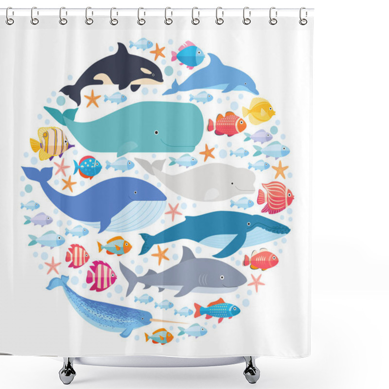 Personality  Marine Mammals And Fishes Set In Circle. Narwhal, Blue Whale, Dolphin, Beluga Whale, Humpback Whale, Bowhead And Sperm Whale Vector Isolated Shower Curtains