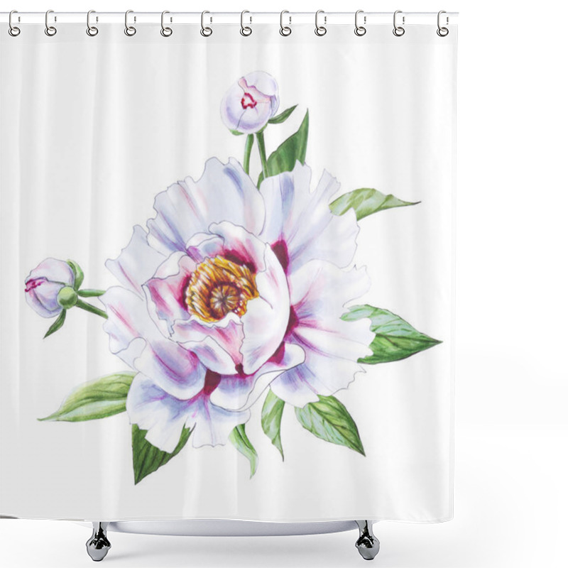 Personality  White Peony Flower Illustration On White Background Shower Curtains