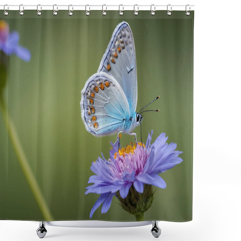 Personality  Swallowtail Butterfly On Flower And Water. Shower Curtains