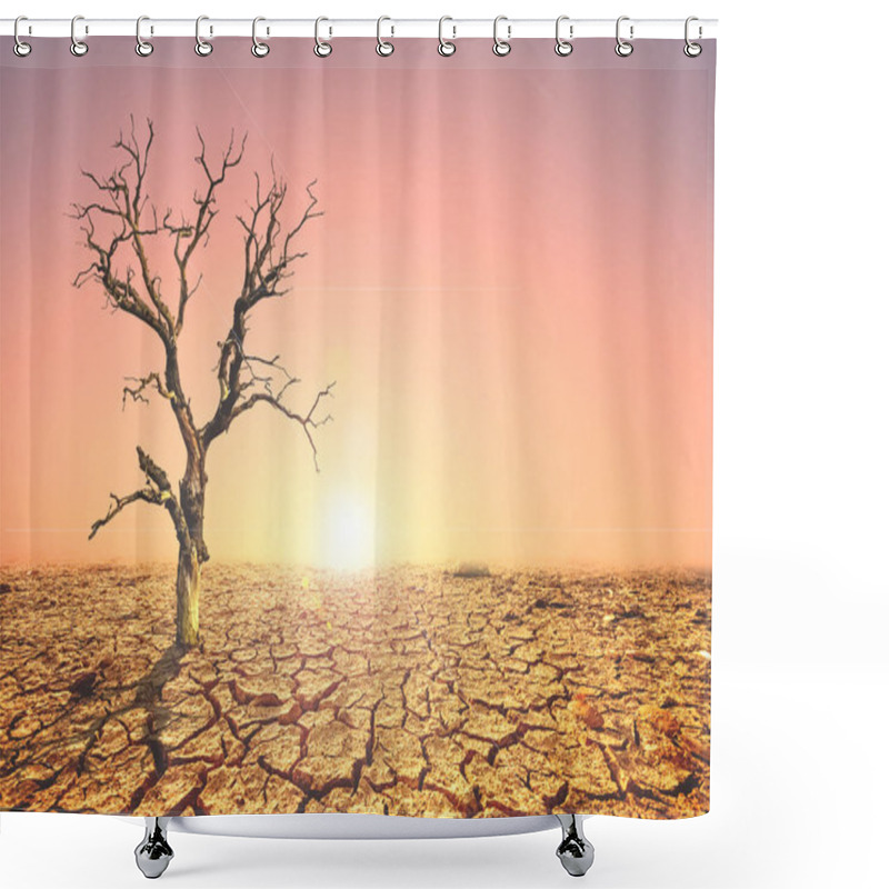 Personality  A Solitary Tree Stands In A Barren Desert With Cracked Earth, Illuminated By A Stunning Sunset. Shower Curtains