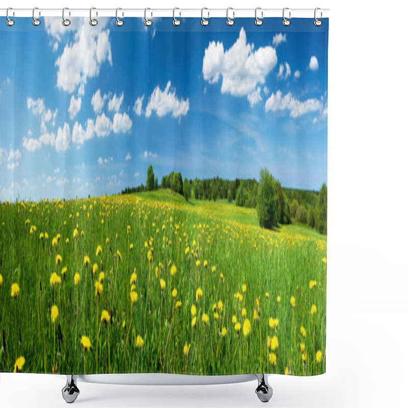 Personality  Field With Dandelions And Blue Sky Shower Curtains