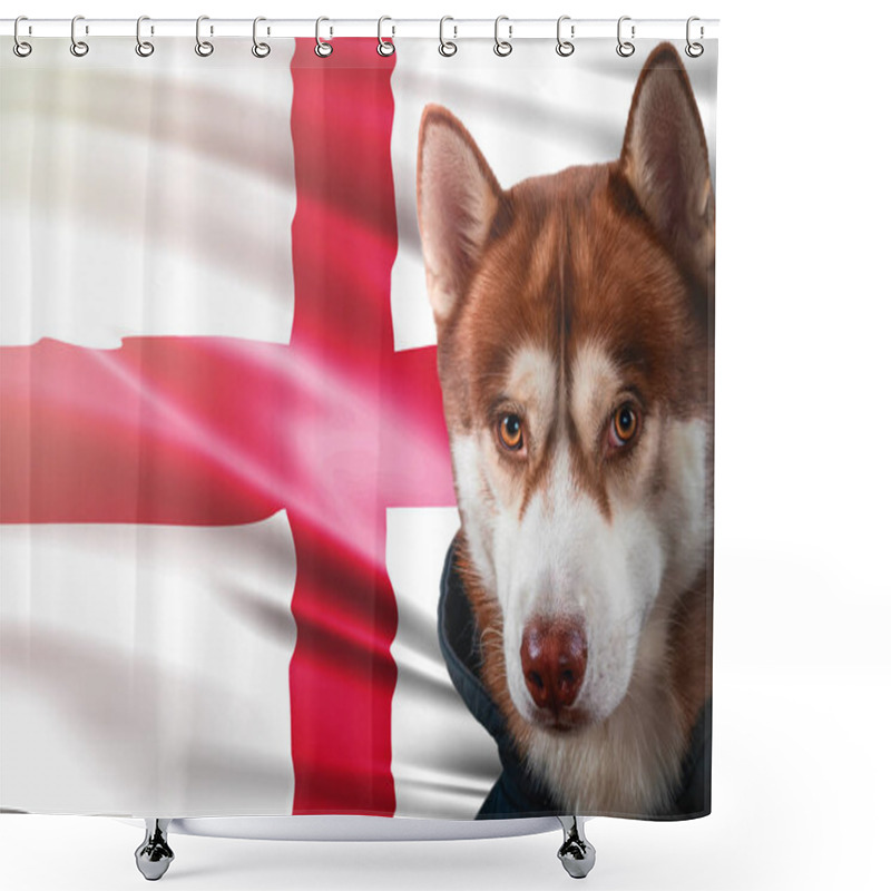 Personality  Patriotic Dog Proudly In Front Of England Flag. Portrait Siberian Husky In Sweatshirt In The Rays Of Bright Sun. Shower Curtains