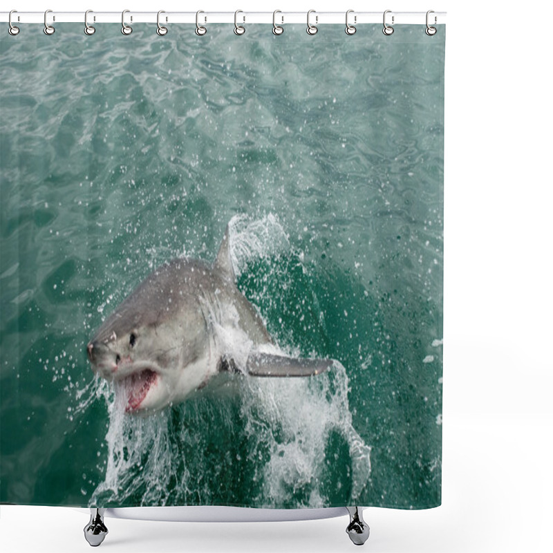 Personality  Great White Shark (Carcharodon Carcharias) Shower Curtains