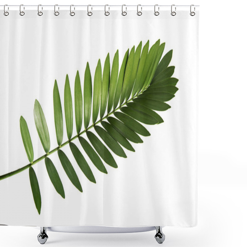 Personality  Cardboard Palm Or Zamia Furfuracea Or Mexican Cycad Leaf  Isolated On White Background, With Clipping Path Shower Curtains