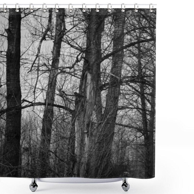 Personality  Creepy Dark Forest Shower Curtains