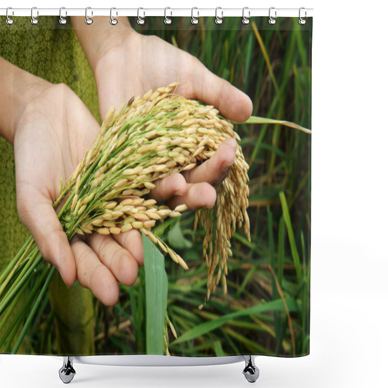 Personality  World Food Security, Famine, Asia Rice Field Shower Curtains