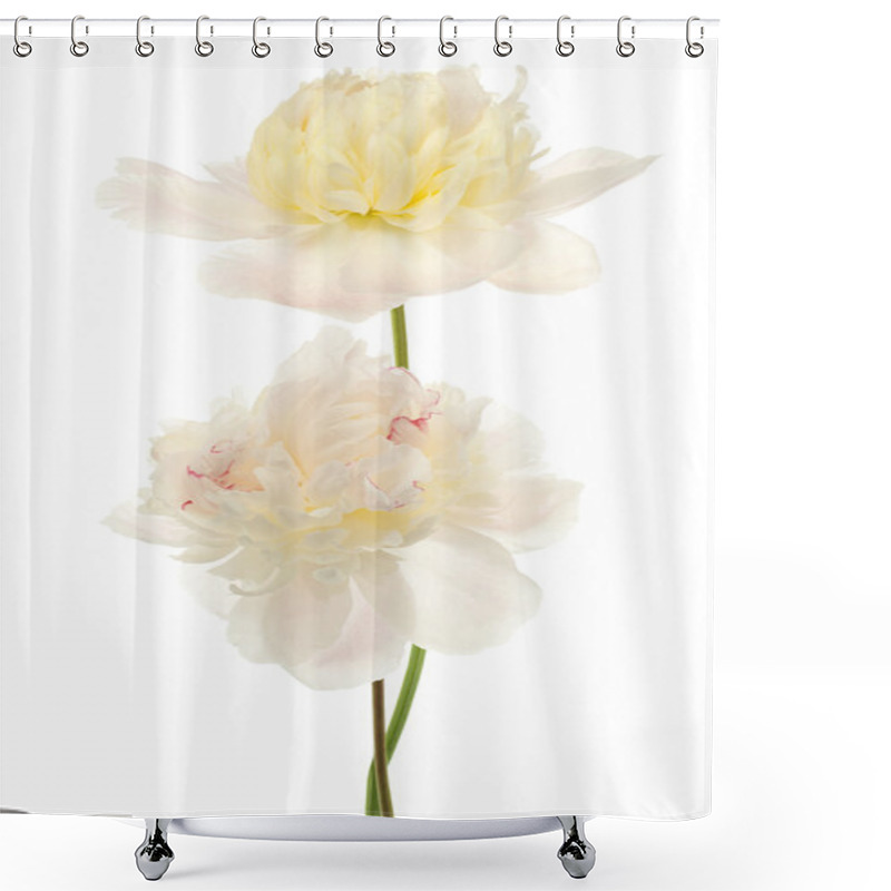 Personality  Peony Shower Curtains