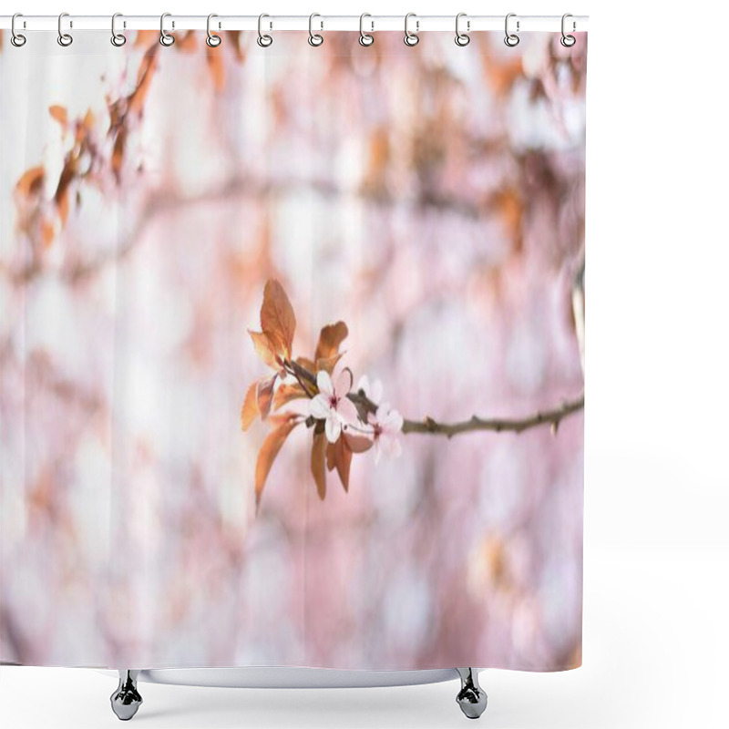 Personality  Delicate Pink Blossoms On A Branch Against A Soft, Pastel Background. Shower Curtains