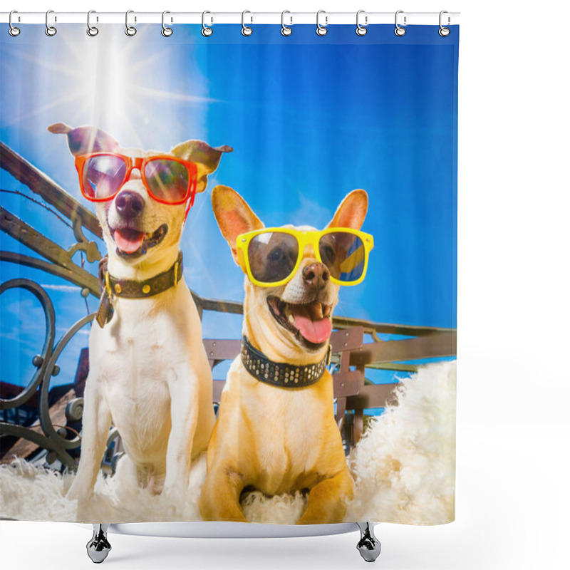 Personality  Summer Dogs Balcony Shower Curtains