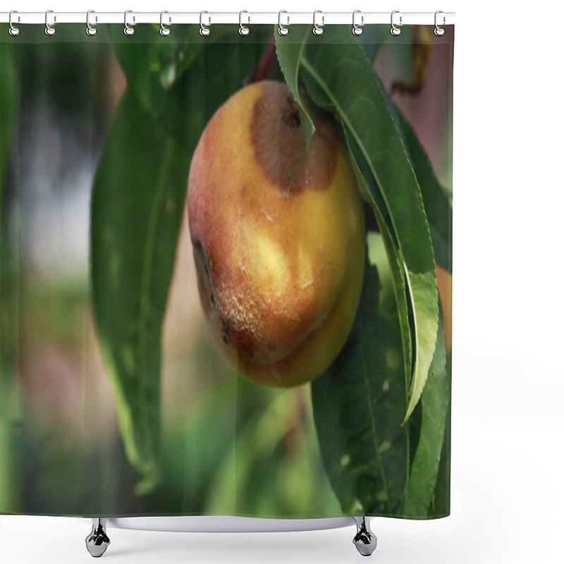 Personality  The Rotten Peach Shower Curtains