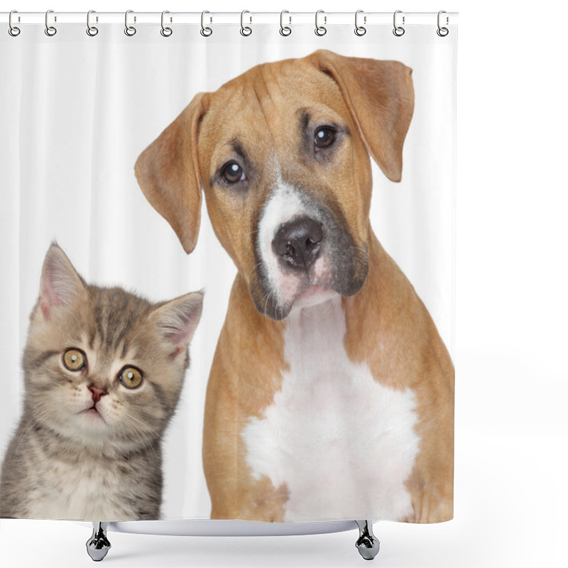 Personality  Kitten And Puppy. Close Up Portrait Shower Curtains