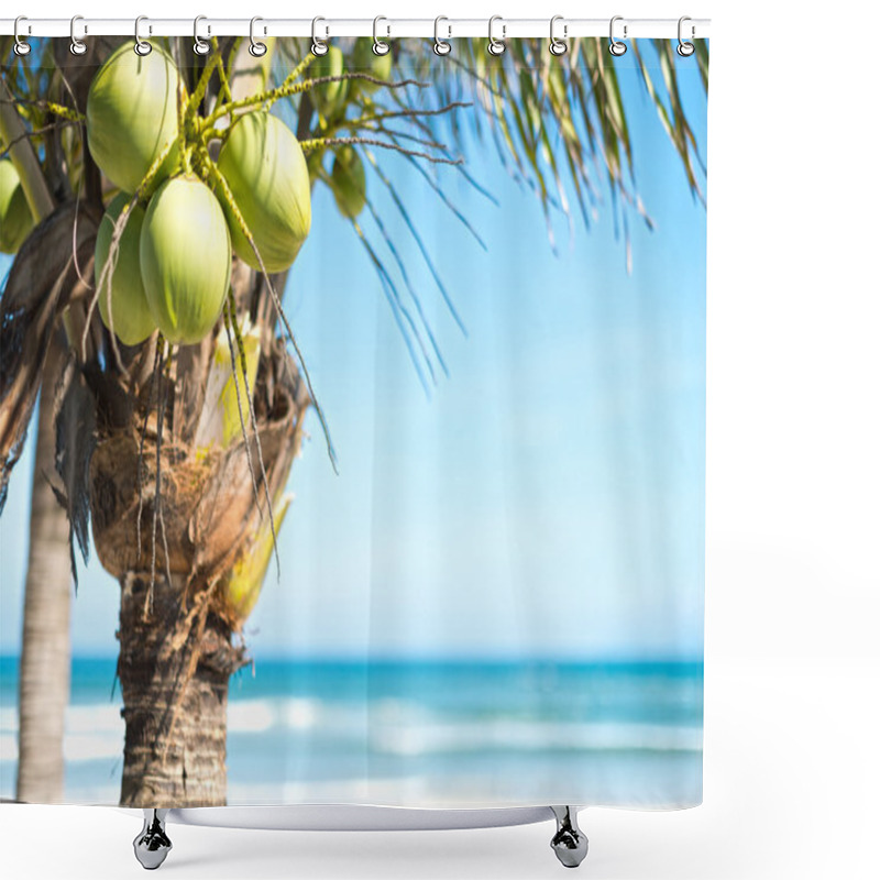 Personality  Coconut Palm With Sky And Ocean Background. Shower Curtains