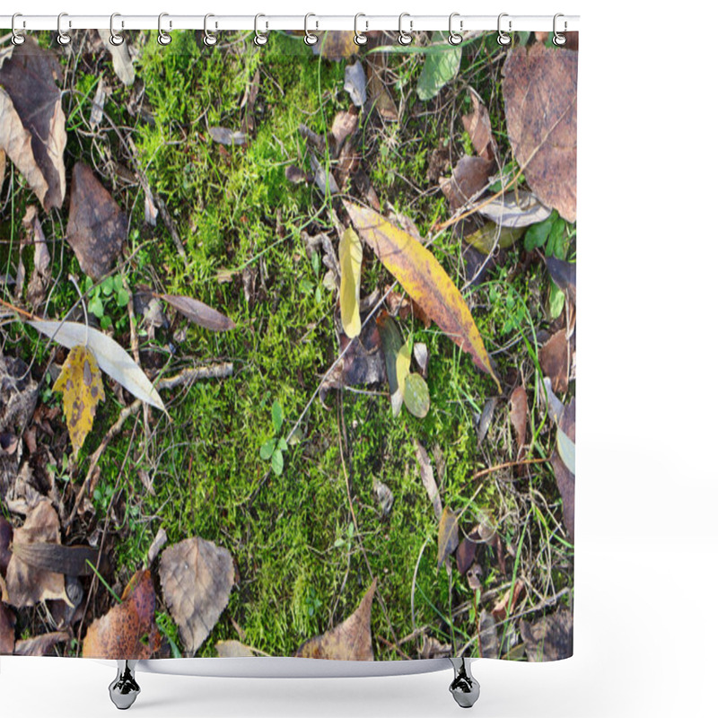 Personality  A Detailed View Of Vibrant Green Moss Surrounded By Fallen Autumn Leaves And Twigs, Showcasing Nature's Textures And Colors. Shower Curtains